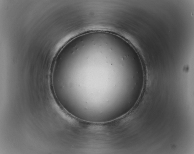 X0000111381237200907171214
