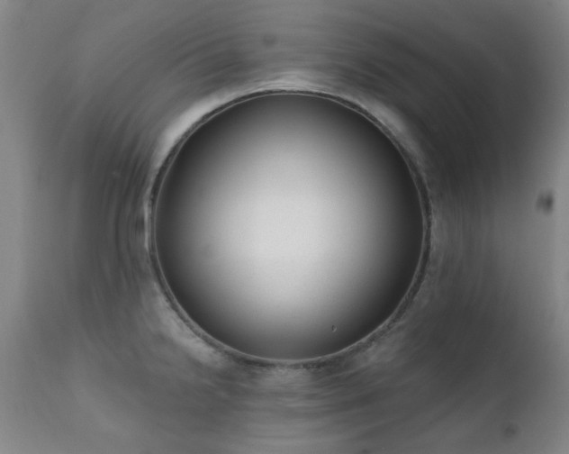 X0000111381238200907171214