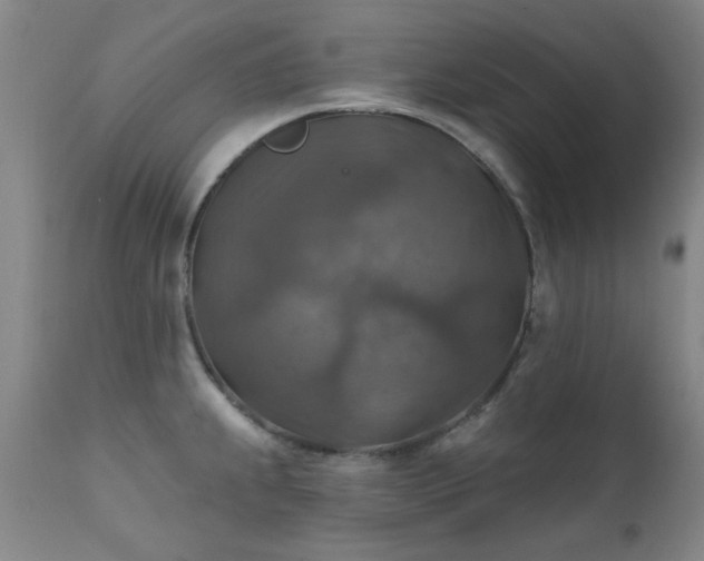 X0000111381239200907171215