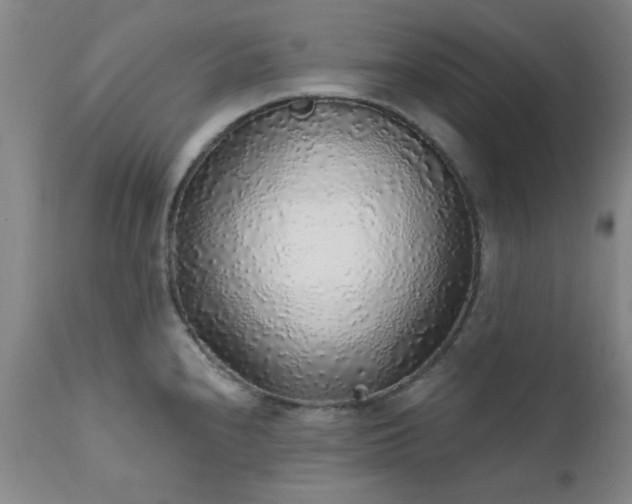 X0000111381240200907171215