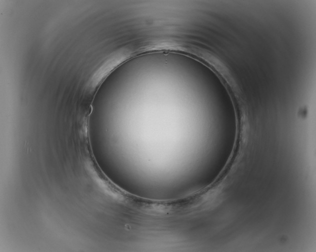 X0000111381241200907171215