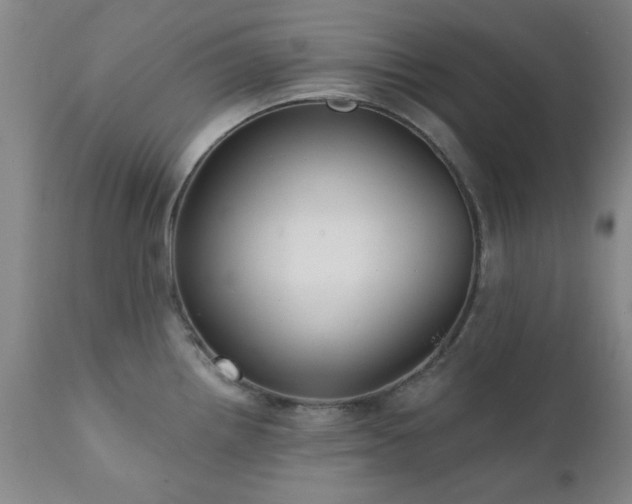 X0000111381242200907171215