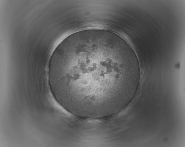 X0000111381243200907171215