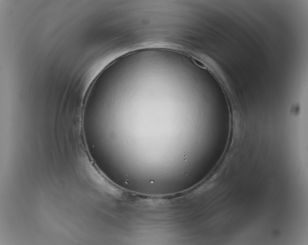 X0000111381244200907171215