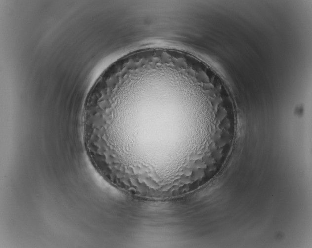 X0000111381247200907171215