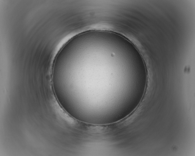 X0000111381248200907171215