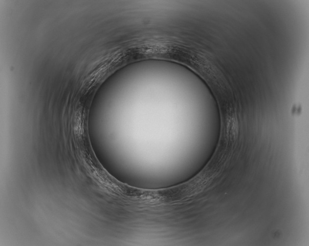 X0000111381250200907171214