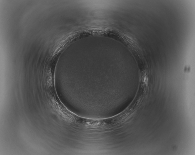 X0000111381252200907171214