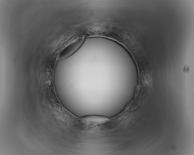 X0000111381253200907171214