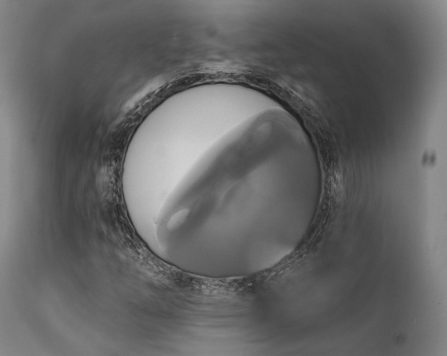 X0000111381254200907171214