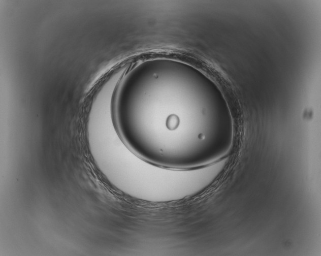 X0000111381256200907171214