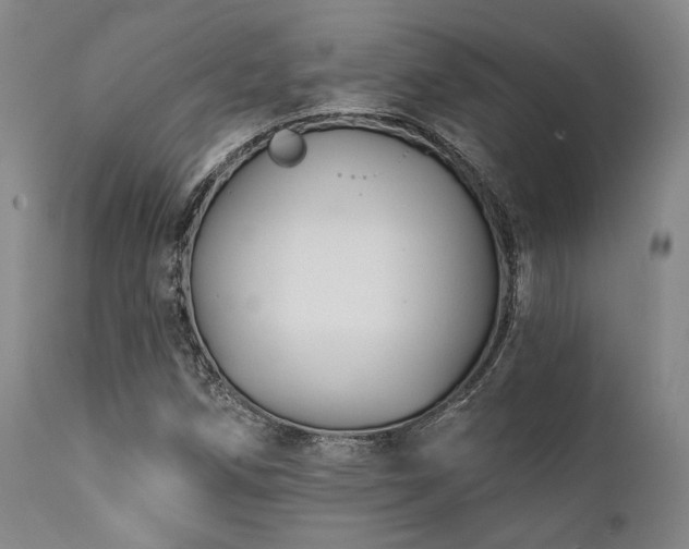 X0000111381258200907171214