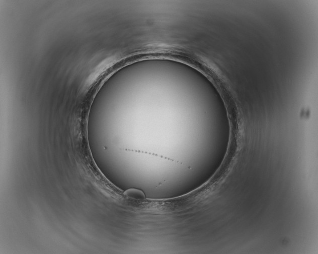 X0000111381259200907171214