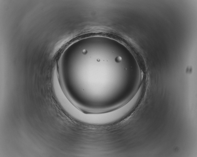 X0000111381261200907171214