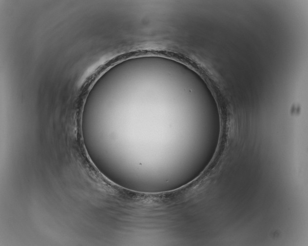 X0000111381262200907171214