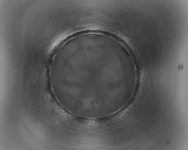 X0000111381263200907171214