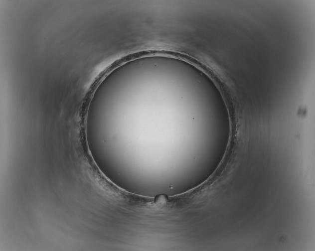 X0000111381264200907171214