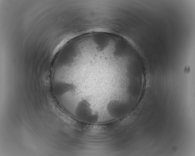 X0000111381266200907171214