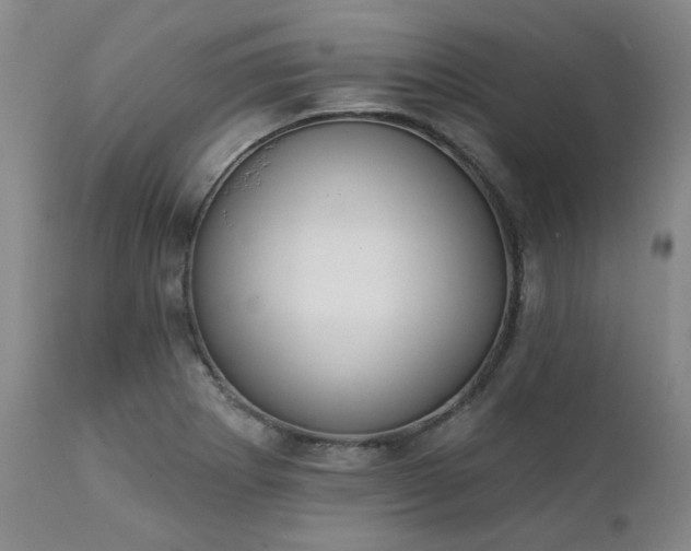 X0000111381273200907171214
