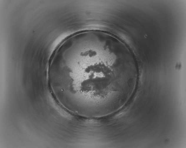 X0000111381275200907171214
