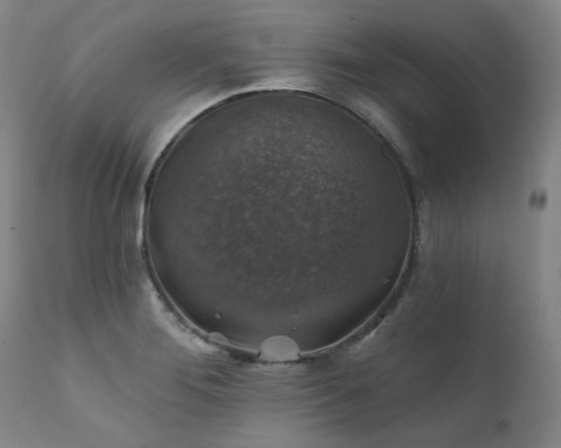 X0000111381276200907171214