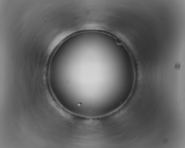 X0000111381277200907171214