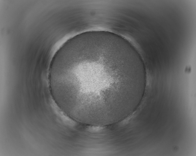 X0000111381278200907171214