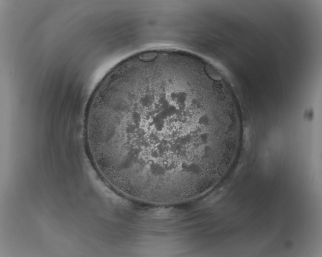 X0000111381279200907171214