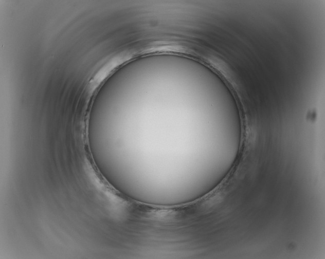 X0000111381282200907171214