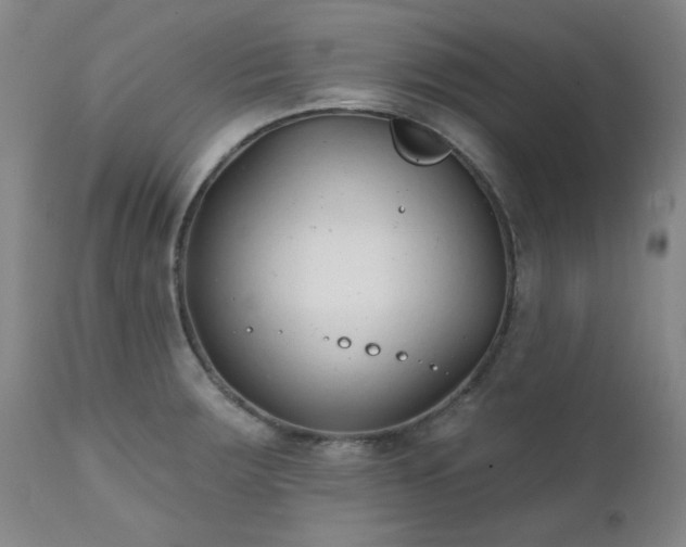 X0000111381283200907171214