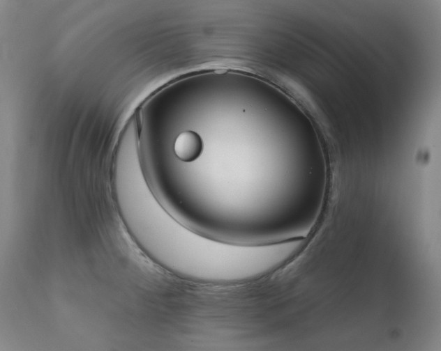 X0000111381284200907171213