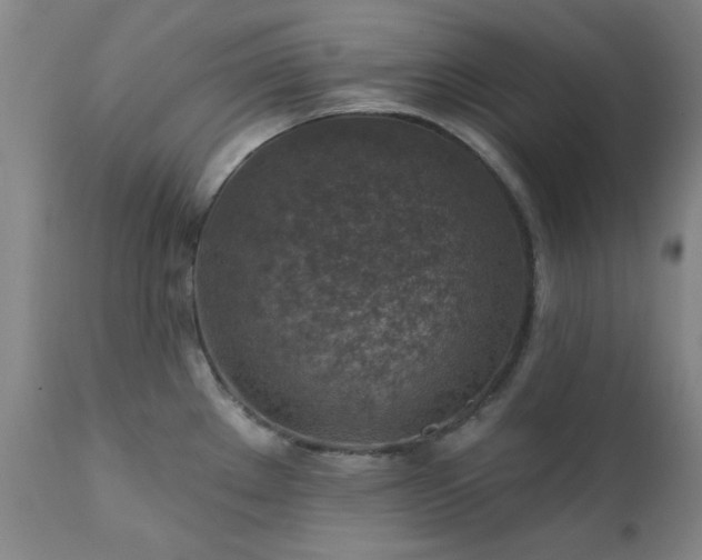 X0000111381289200907171213