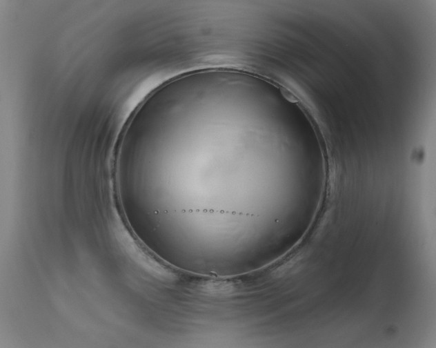 X0000111381291200907171213