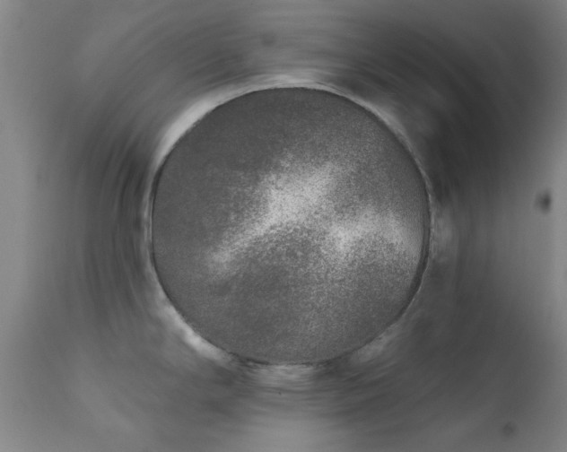 X0000111381294200907171213