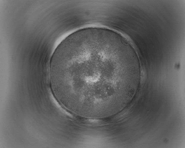 X0000111381295200907171213