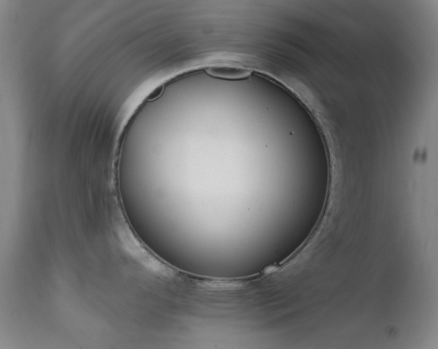 X0000111381296200907171213