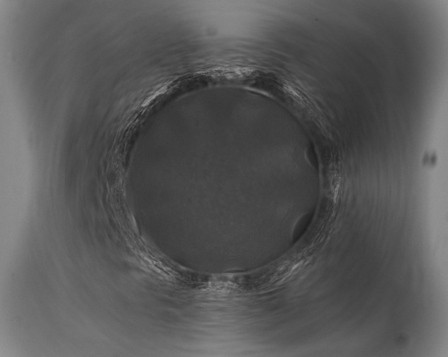X0000111381297200907171213