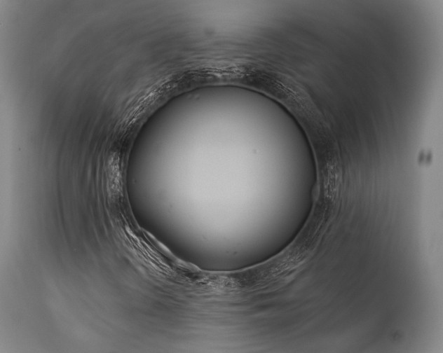 X0000111381298200907171213
