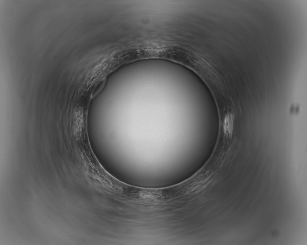 X0000111381299200907171213
