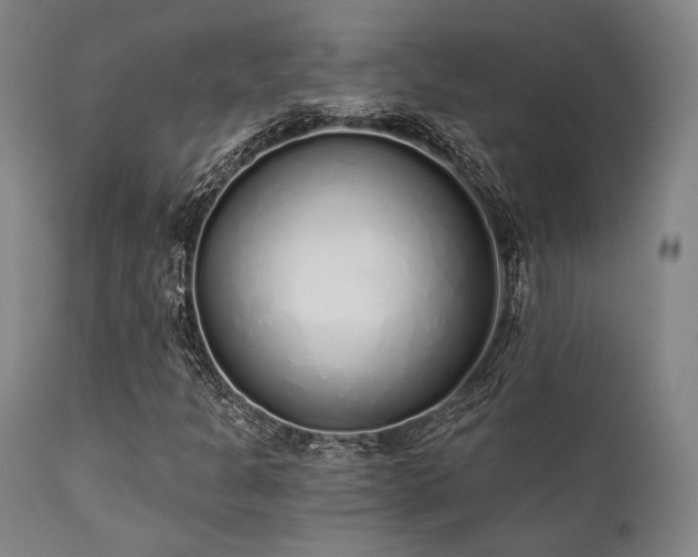 X0000111381301200907171213