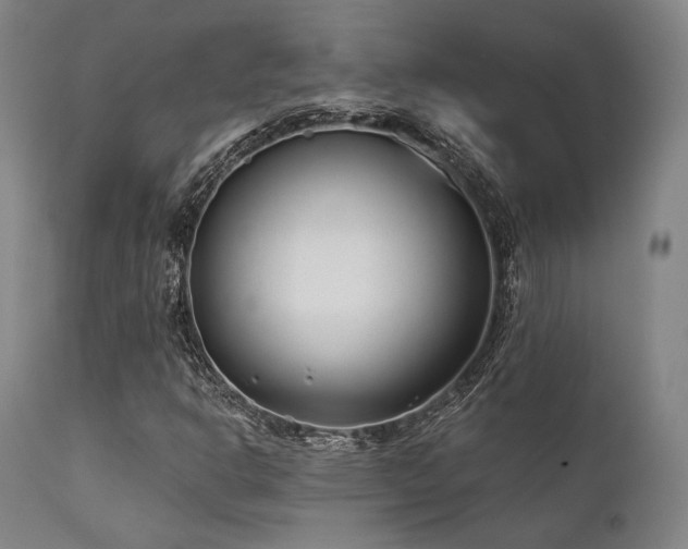 X0000111381302200907171213