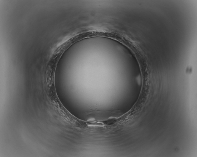 X0000111381303200907171213
