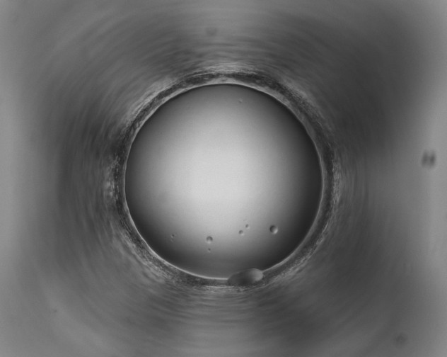 X0000111381305200907171213