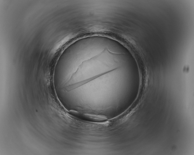 X0000111381306200907171213