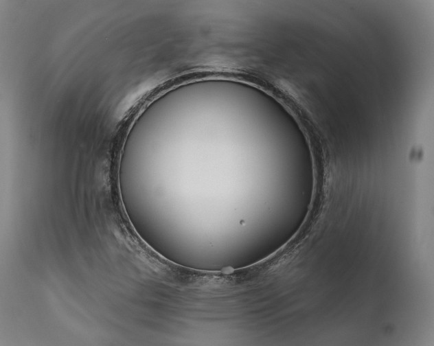 X0000111381307200907171213