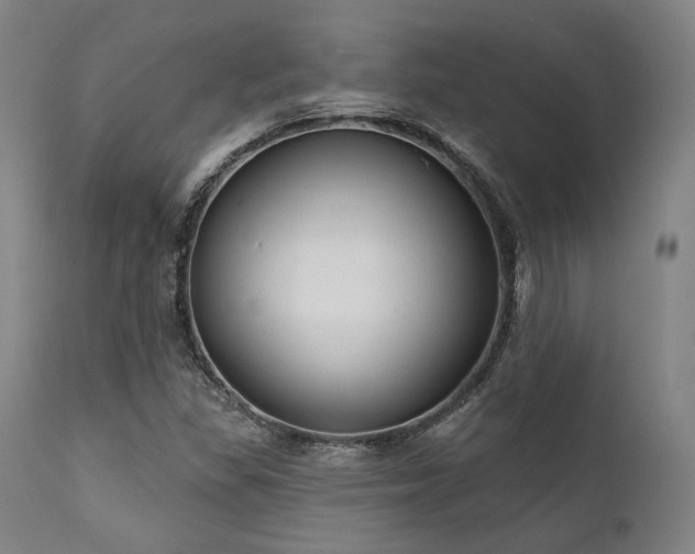 X0000111381309200907171213