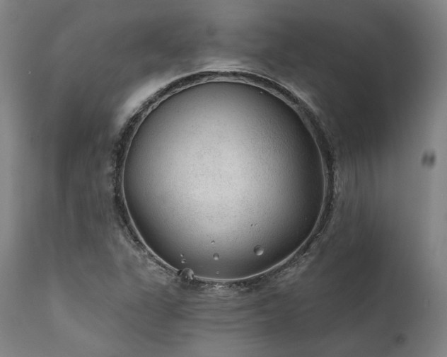 X0000111381311200907171213