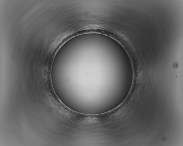 X0000111381313200907171213