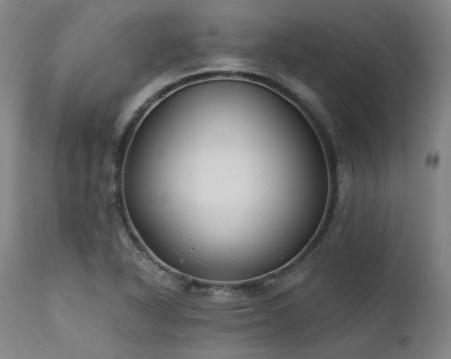 X0000111381318200907171213
