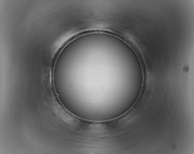 X0000111381320200907171213